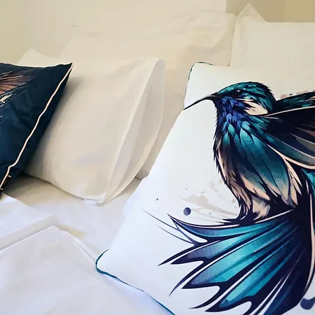 Scala 8 Διαμέρισμα